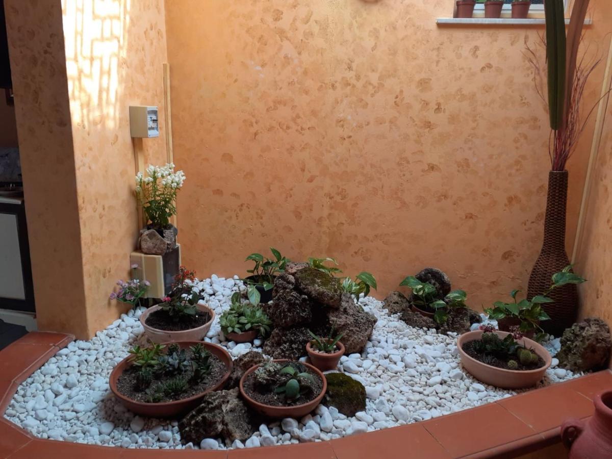 Casa Del Pino *