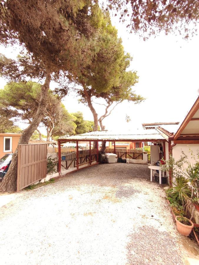Casa Del Pino Porto Pino