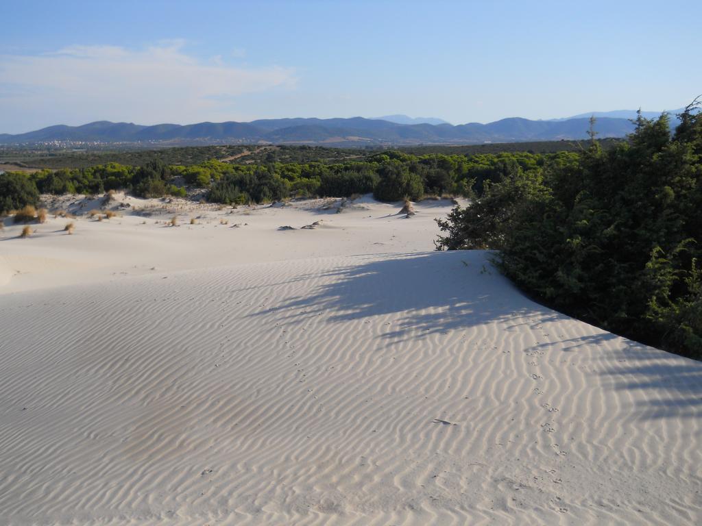 Casa Del Pino Holiday home